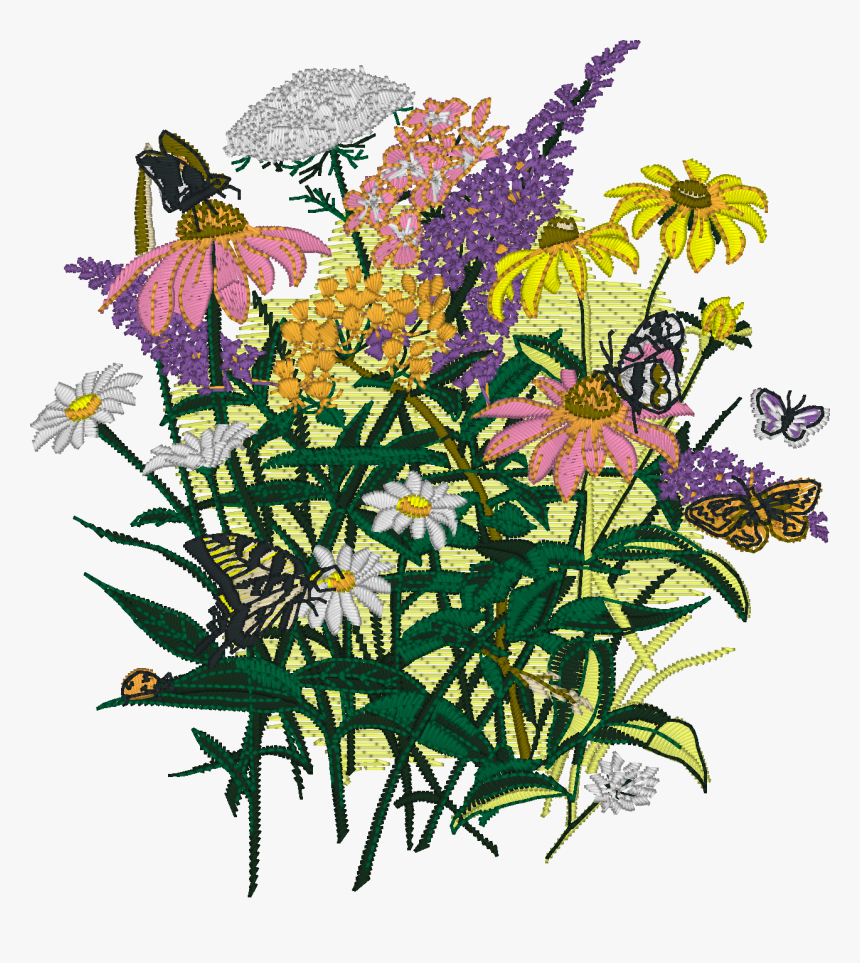 Embrilliance Enthusiast Can Generate And Save 3d Simulated - Rosa Glauca, HD Png Download