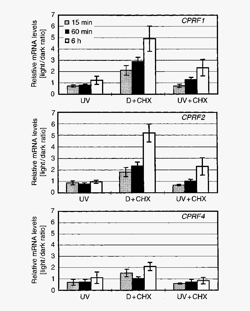 Document, HD Png Download