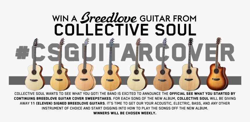 Breedlove Top - Breedlove, HD Png Download