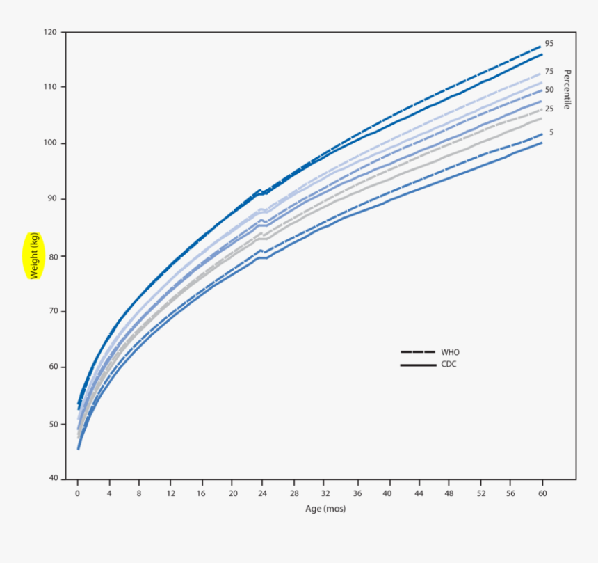 Use Of Growth Chart, HD Png Download