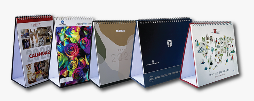 Rainbow Rose, HD Png Download