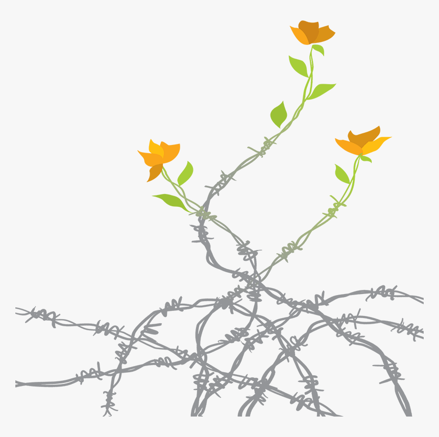 Act Human Rights Film Festival Logo - Field Marigold, HD Png Download