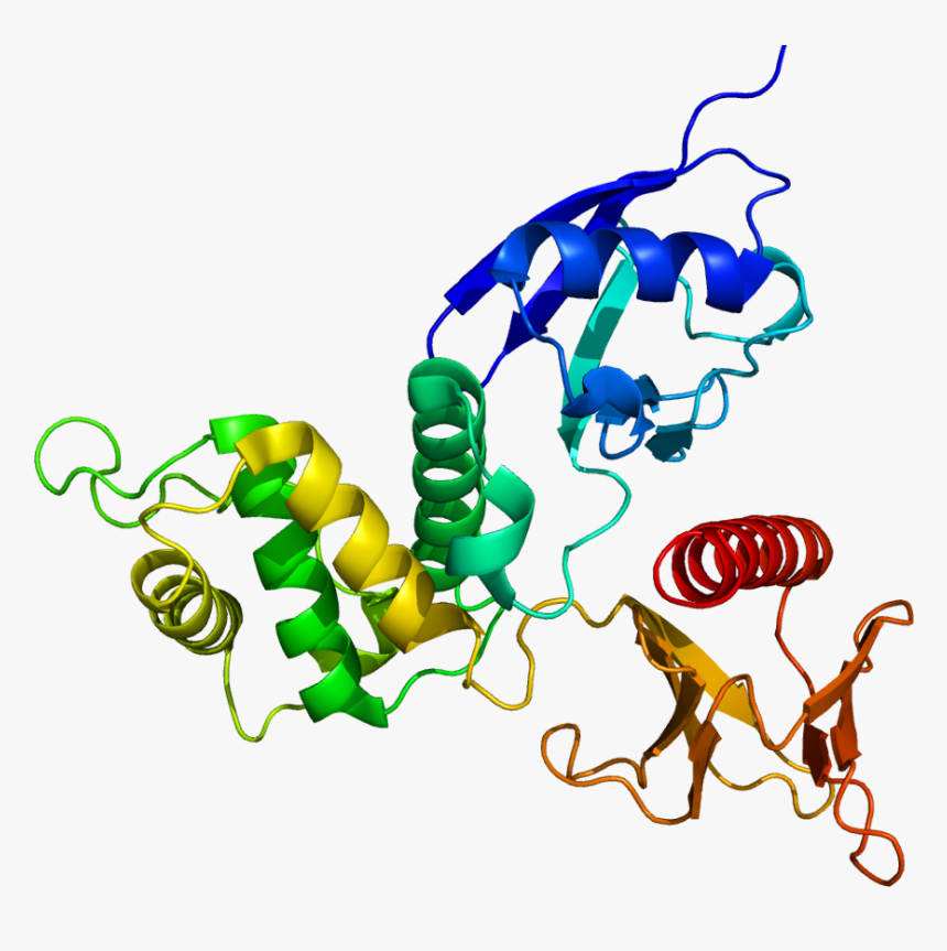 Protein Rdx Pdb 1gc6 - Protein Tertiary Structure Pymol, HD Png Download