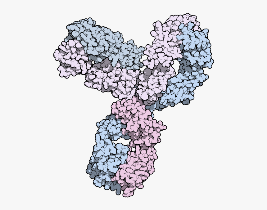 Pembrolizumab Formula, HD Png Download
