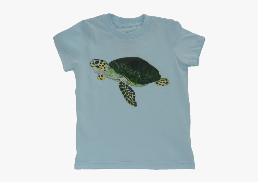Kemp's Ridley Sea Turtle, HD Png Download