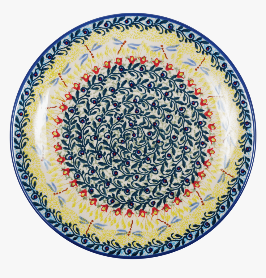 10 - Victor Hasselblad Sea Turtle Research And Conservation, HD Png Download