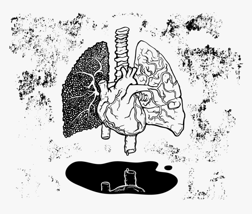 Illustration, HD Png Download