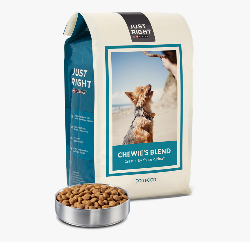 Kitten, HD Png Download