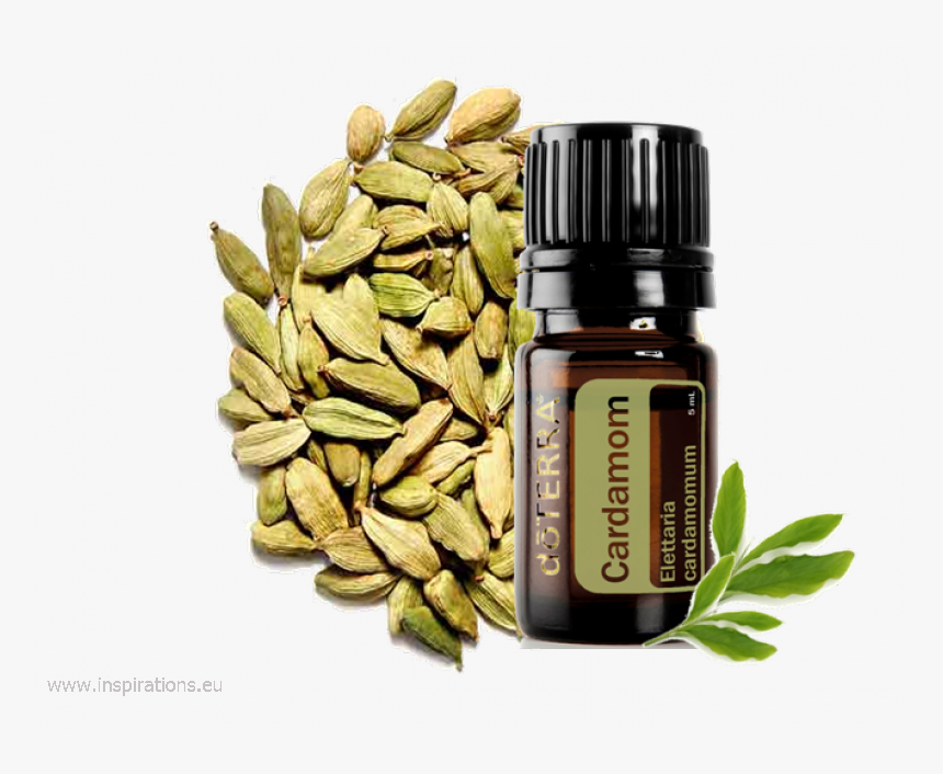 Doterra Cardamom Kardamom - Cardamom Doterra, HD Png Download