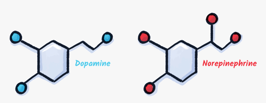 Diagram, HD Png Download