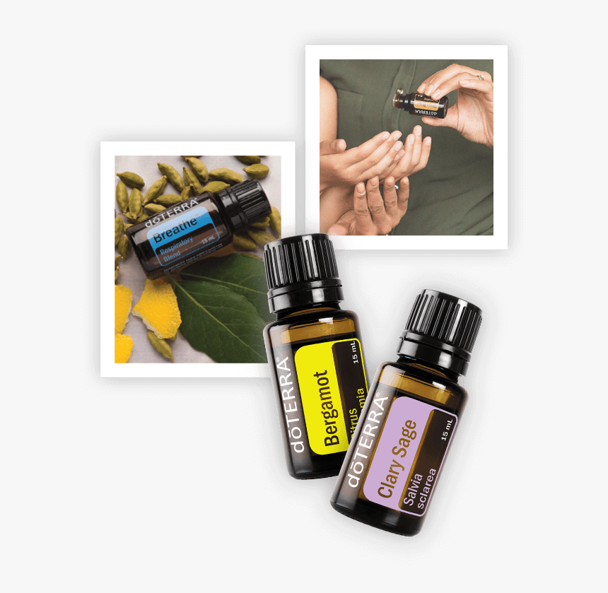 Getting Started Image - Cutting Tool, HD Png Download