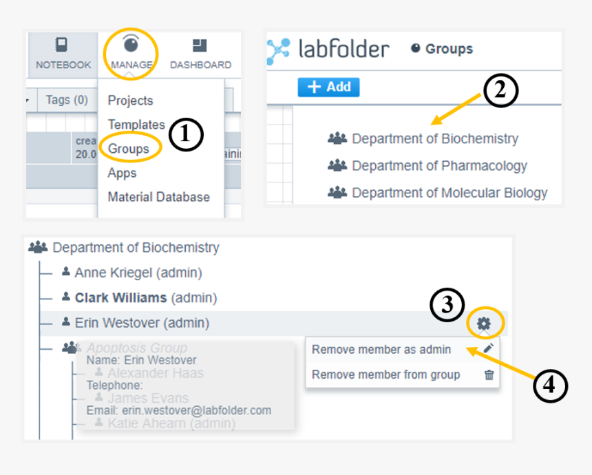 Web Page, HD Png Download
