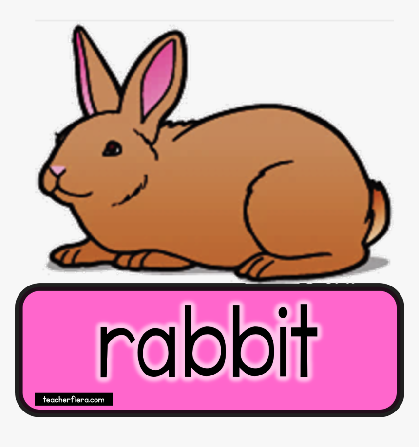 Teacherfiera Com Would Really - Rabbit Clip Art, HD Png Download