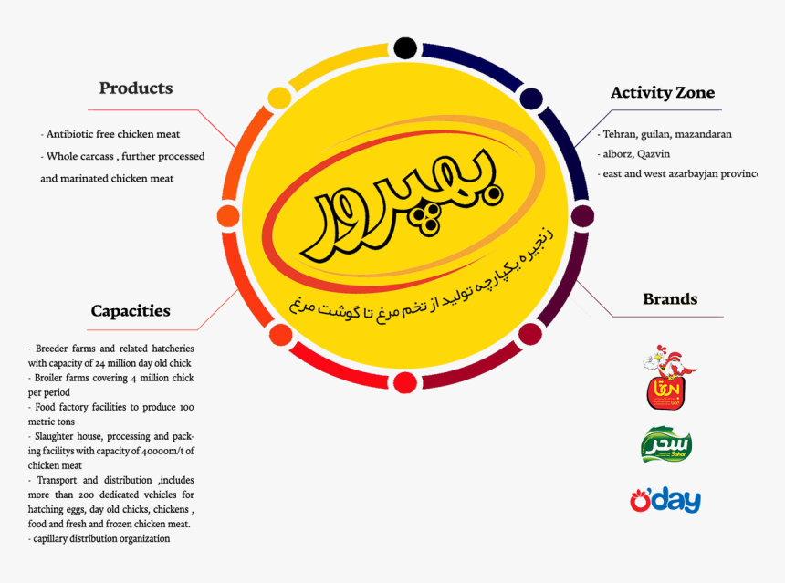 Day Old Broiler Production - Design Student Infographic, HD Png Download