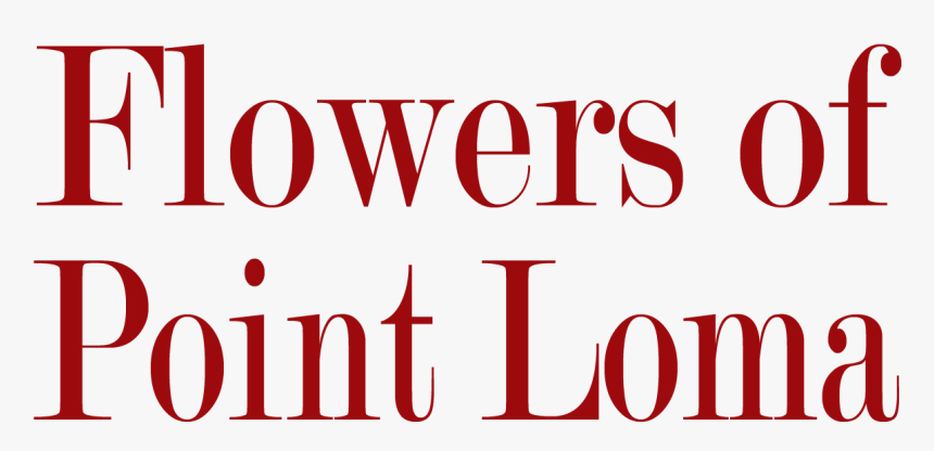 Graphic Design, HD Png Download