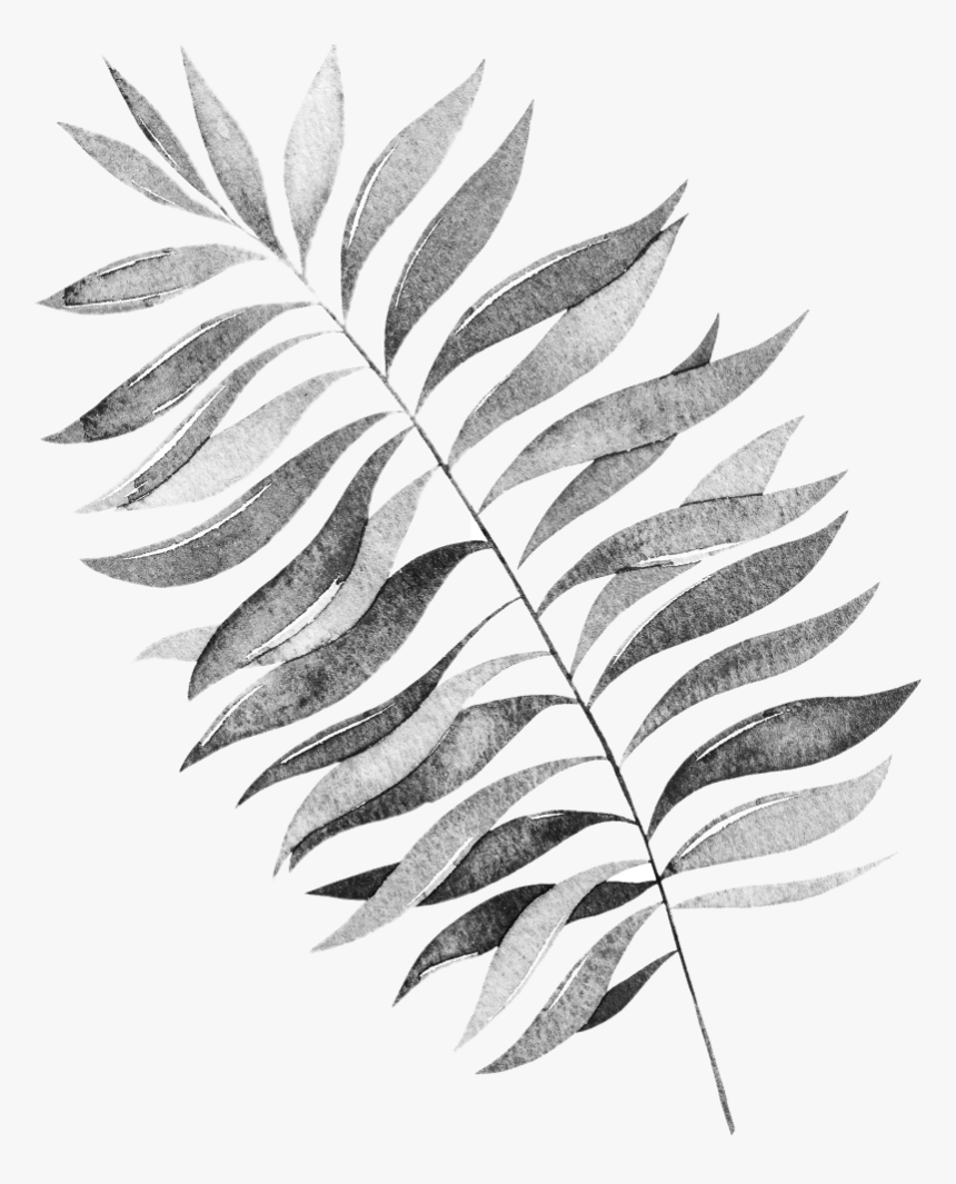 Tree, HD Png Download