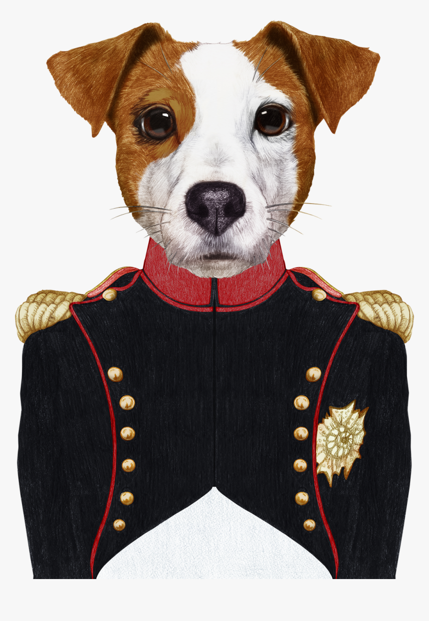 Cow In Military Uniform, HD Png Download