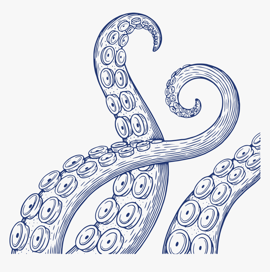 Taste Of Edmonds 2019, HD Png Download