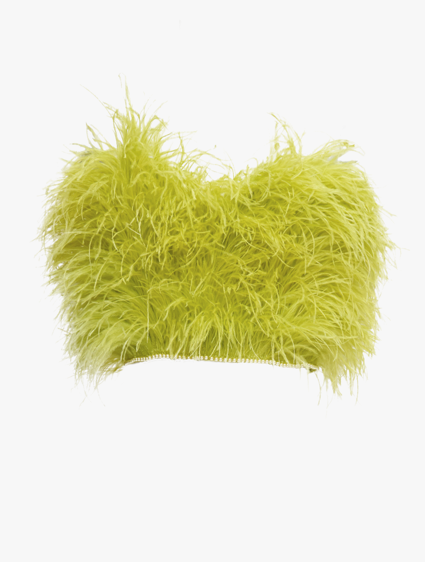 Hornwort, HD Png Download