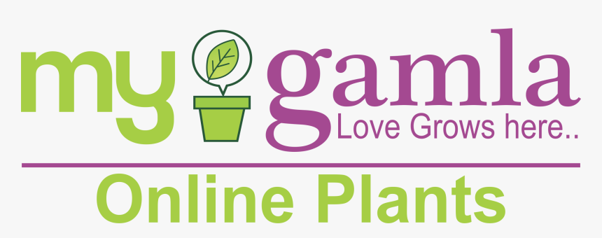 Graphic Design, HD Png Download