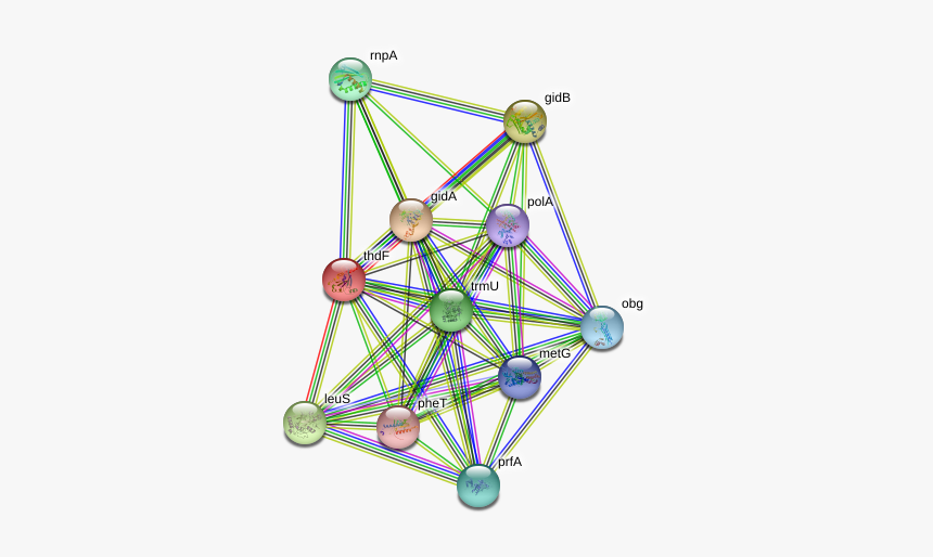 Thdf Protein - Circle, HD Png Download