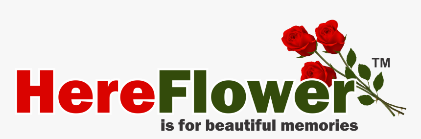 Here Flower - Floribunda, HD Png Download