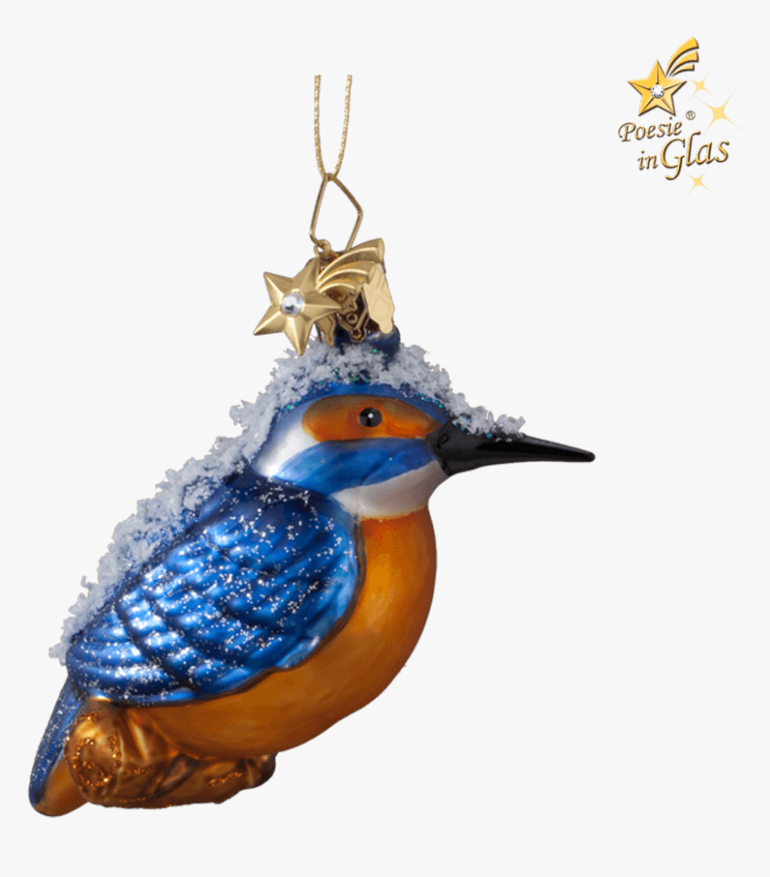 Kingfisher - Common Kingfisher, HD Png Download