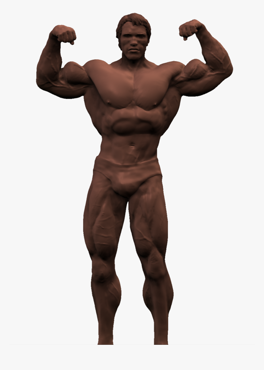 Arnold Schwarzenegger Bodybuilding Png Pic - Arnold Schwarzenegger Transparent Background, Png Download