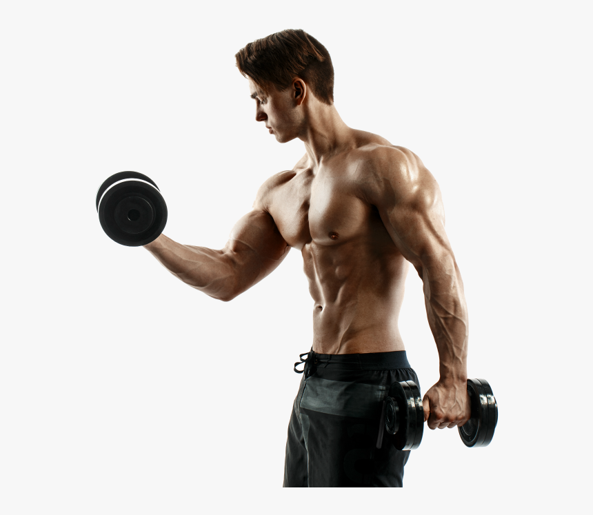 Are All Trainers Certified - Bodybuilding, HD Png Download