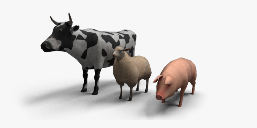 Cattle, HD Png Download