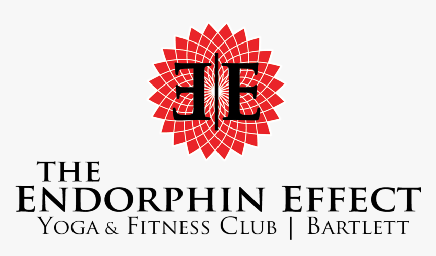 The Endorphin Effect - Selective Insurance, HD Png Download
