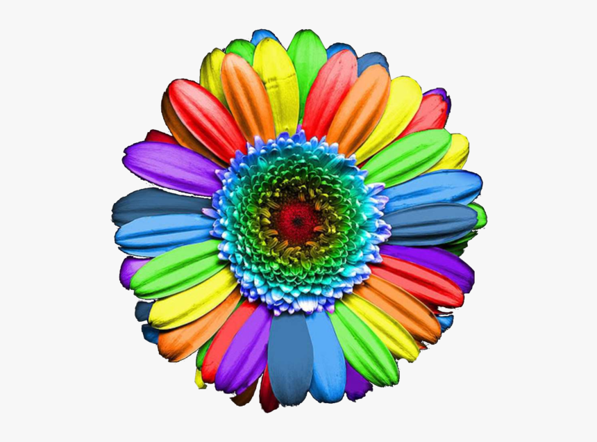 Thumb Image - Rainbow Colours Flowers, HD Png Download