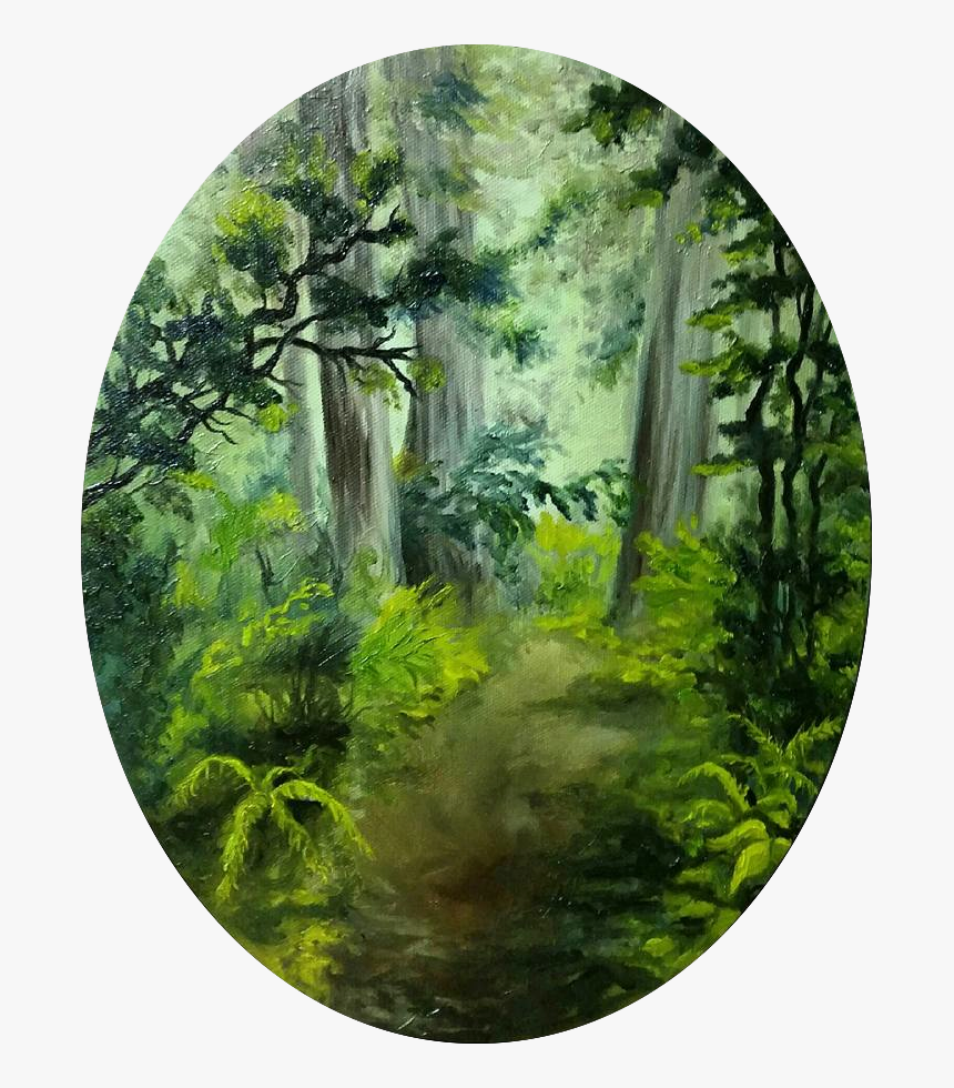 Lush Forest, HD Png Download