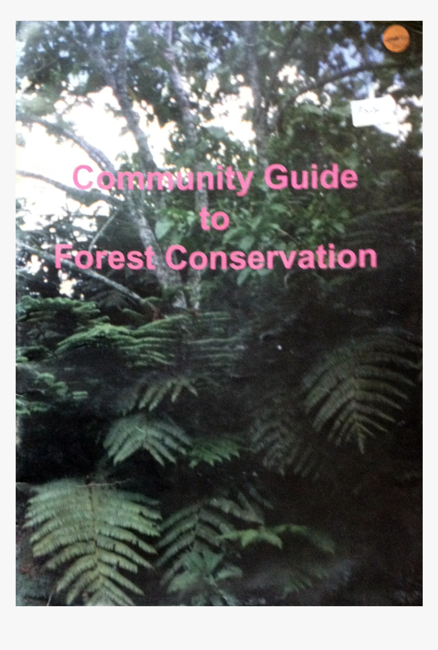 Fern, HD Png Download