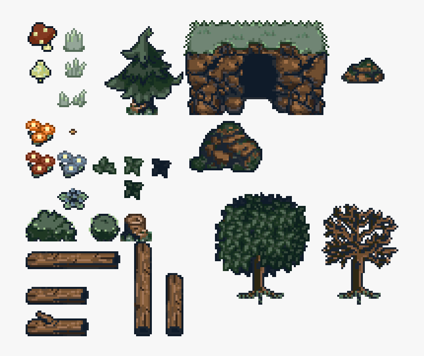 Forest - Conifer, HD Png Download