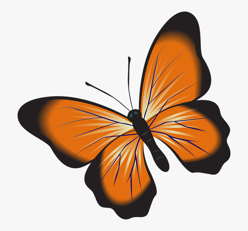 Nature Clipart, HD Png Download