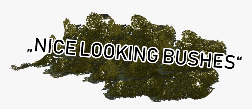 A1 - - - Tree, HD Png Download