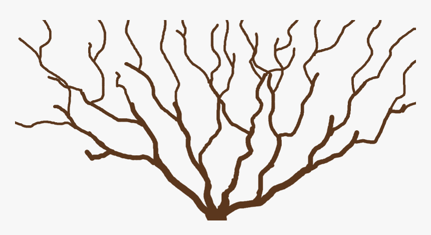 Clip Art, HD Png Download