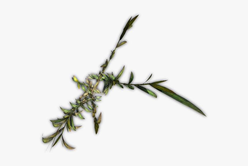 Heath Aster, HD Png Download