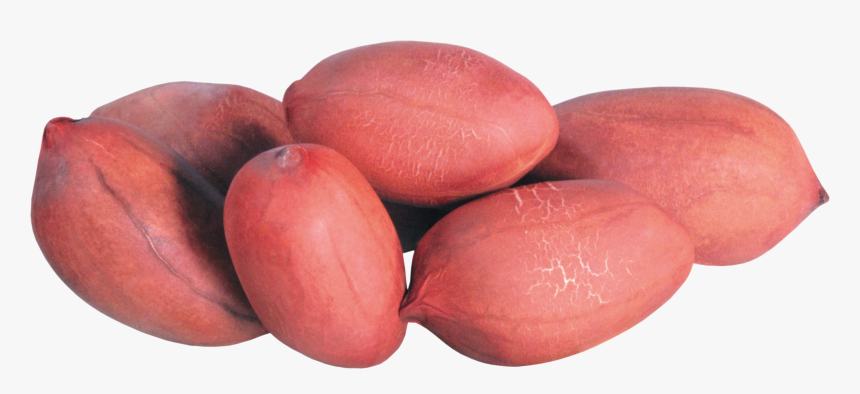 Peanut Png - Shengdana Hd, Transparent Png