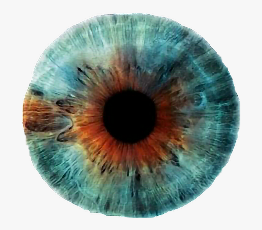 #blue #brown #eye #lens #blueeye#freetoedit - Rankin Eyescapes, HD Png Download