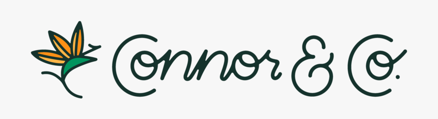 Wedding Hand Png, Transparent Png