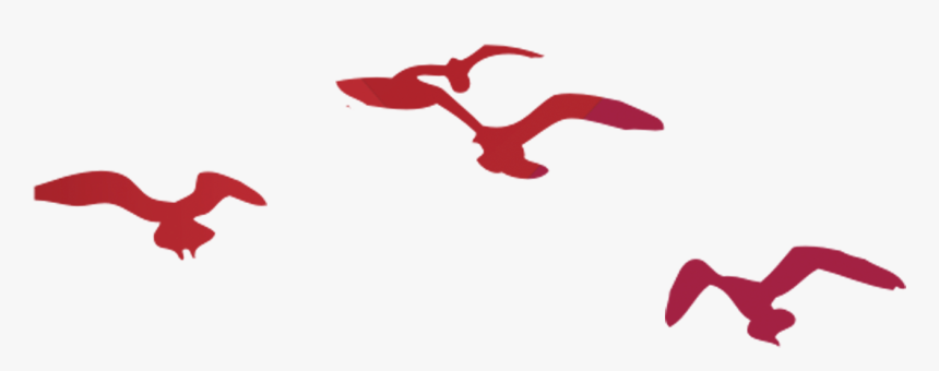 Flying Bird Silhouette Png Download - Illustration, Transparent Png