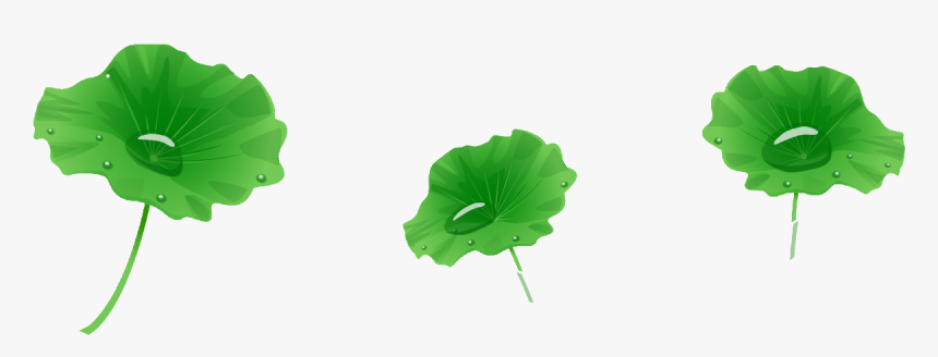 Leaf, HD Png Download