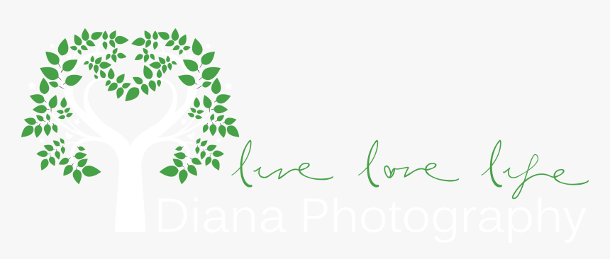 Calligraphy, HD Png Download