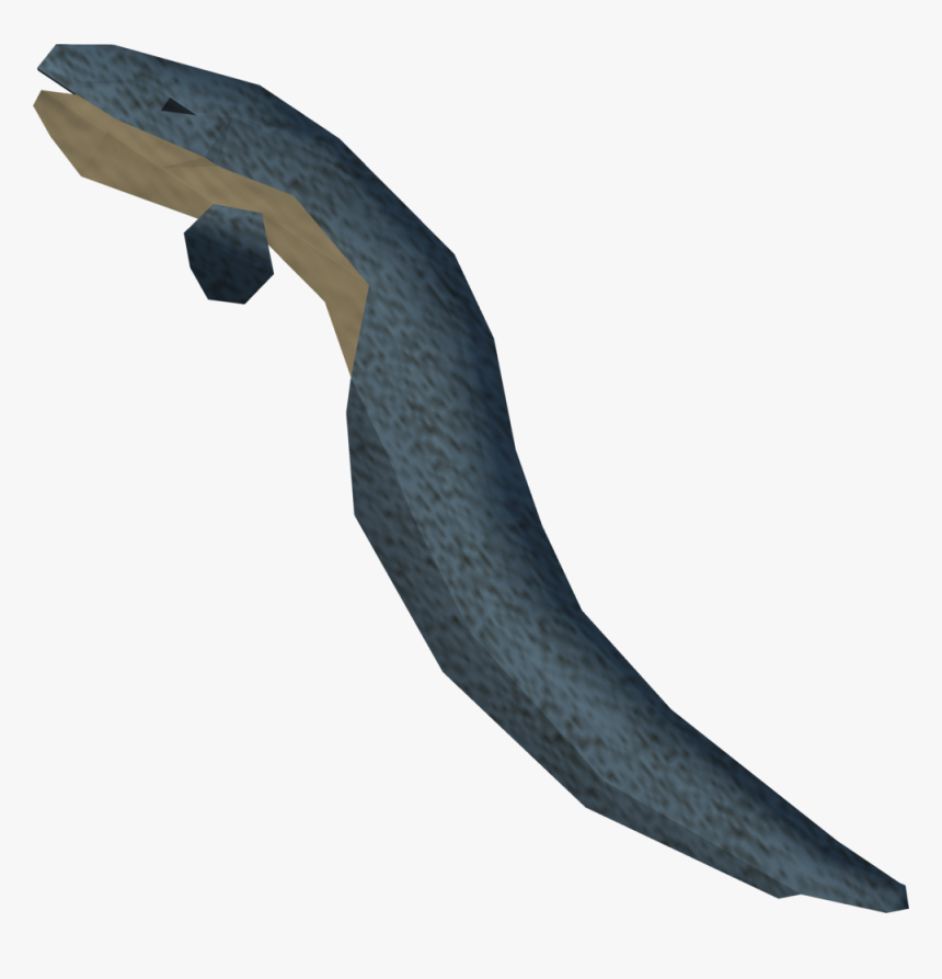 The Runescape Wiki - Bird, HD Png Download