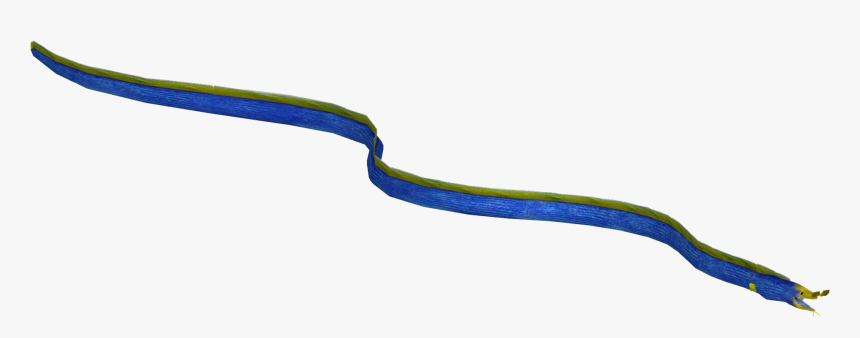 Transparent Eel Ribbon - Grass Snake, HD Png Download