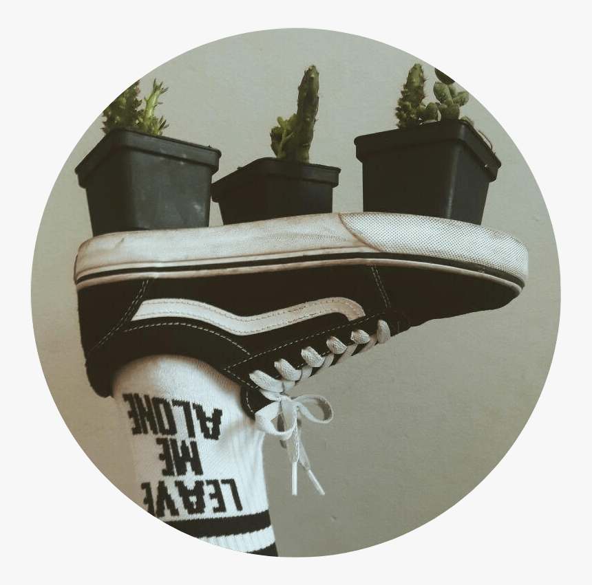 Green And Black Aesthetic, HD Png Download