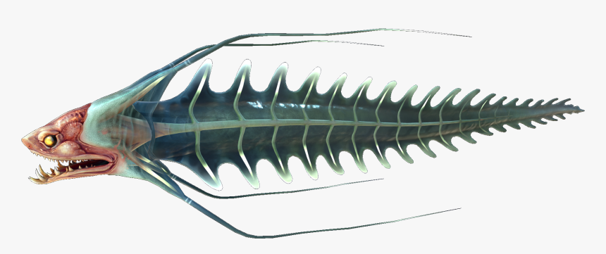 Spine Eel Fauna, HD Png Download