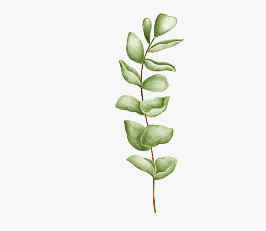 Leaf Png Rawpixel, Transparent Png